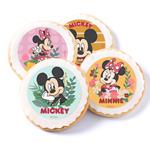 MINI OBLEAS MICKEY Y MINNIE  SET/66 | 89