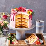 SPONGE CAKE DELUXE - PREPARADO BIZCOCHO 1KG  | 110