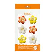 SET ORQUIDEAS AZÚCAR 6u | 395