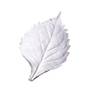 MOLDES SILICONA NERVADURAS HOJA HORTENSIA  | 321