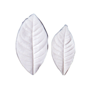 MOLDES SILICONA NERVADURAS HOJA GARDENIA  | 323