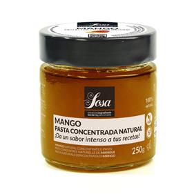 PASTA CONCENTRADA MANGO 250G - SOSA  | 289