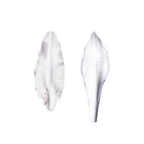 MOLDES SILICONA NERVADURAS PÉTALO LILY STARGAZER  | 327