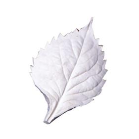 MOLDES SILICONA NERVADURAS HOJA HORTENSIA  | 321