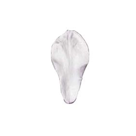 MOLDES SILICONA NERVADURAS PÉTALO MAGNOLIA | 324